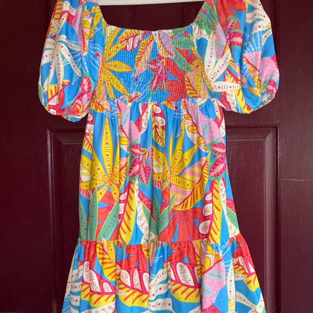Flying Tomato Blue and Pink Dress - Picture 4 of 13